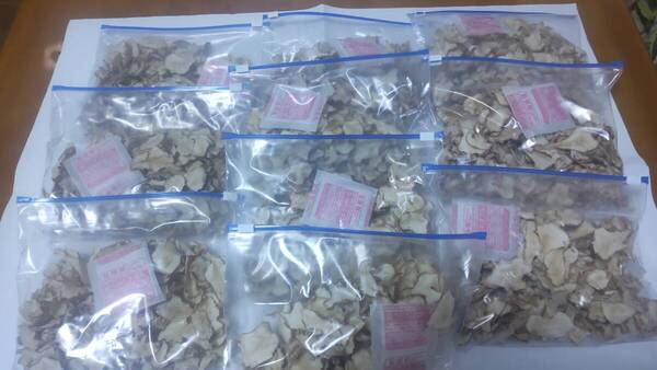 菊芋乾燥チップス 100gX10袋 自家製 無農薬 化学肥料不使用 国産菊芋使用 糖尿病、便通改善に是非、お試し下さい!20250507-2