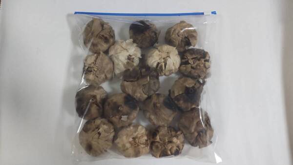 【訳あり】熟成黒にんにく4L16個 自家製 ブルーベリー黒酢漬けも美味! 高血圧、体調改善に美味しく対応!20250521-16W