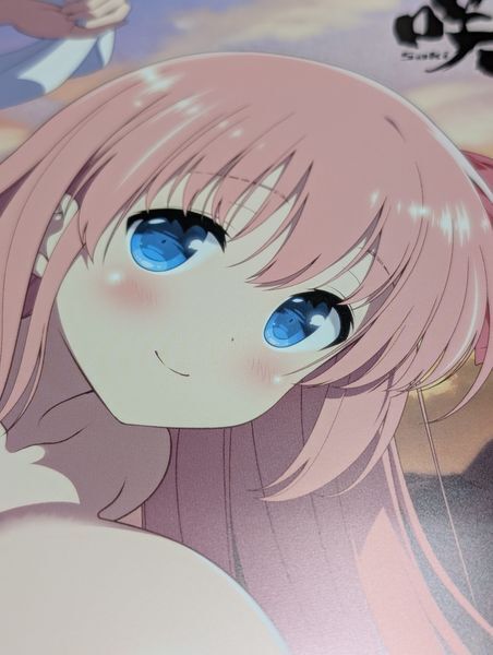 【未使用】咲-Saki- 原村和 ミニお風呂ポスター とらのあな同時購入特典 咲-Saki-24巻他