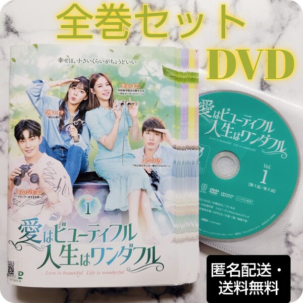 ソル・イナ『愛はビューティフル 人生はワンダフル』レンタル落ちDVD★全巻★韓国ドラマ