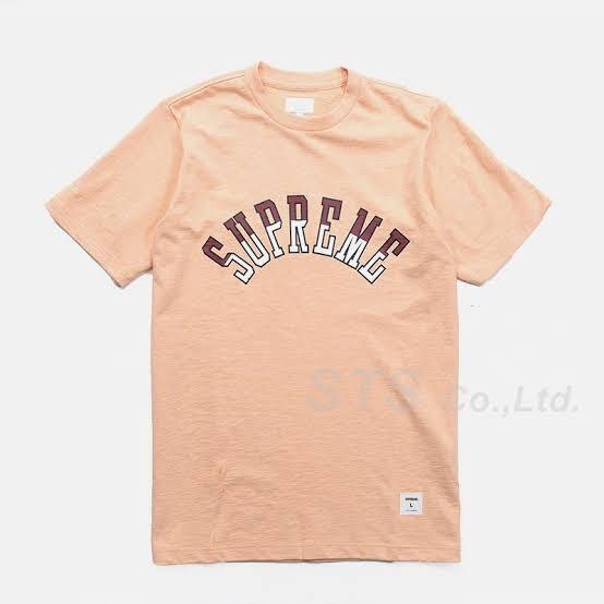 送料無料☆国内正規☆極美品☆Supreme☆17ss☆curve logo tee☆Mサイズ☆small box☆arc☆s logo☆pocket☆north☆champion☆tee☆s/s top