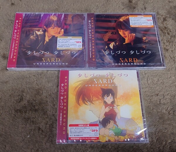 SARD UNDERGROUND 「少しづつ少しづつ」全タイプセット