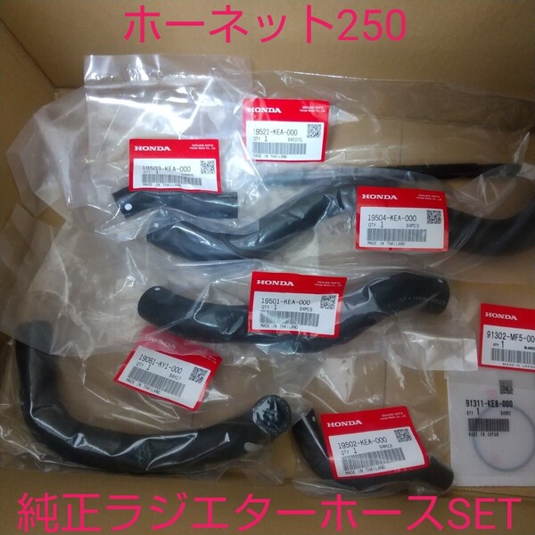 ホーネット MC31 ラジエターホース ウォーターホース ホーネット250 純正 新品 HORNET