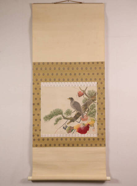 【模写】日本画 片桐香洋 鳥図 松に山葡萄 絹本 掛け軸 木箱 花鳥 烏 黒い鳥 彩色 横物 MA633