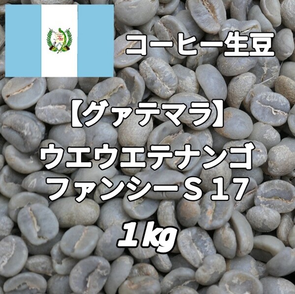 【グァテマラ】ウエウエテナンゴ・ファンシーS17 コーヒー生豆1kg(コーヒー生豆 自家焙煎 コーヒー豆 コーヒー 珈琲)