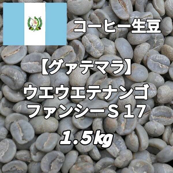 【グァテマラ】ウエウエテナンゴ・ファンシーS17 コーヒー生豆1.5kg(コーヒー生豆 自家焙煎 コーヒー豆 コーヒー 珈琲)