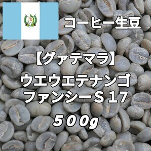 【グァテマラ】ウエウエテナンゴ・ファンシーS17 コーヒー生豆500g(コーヒー生豆 自家焙煎 コーヒー豆 コーヒー 珈琲)