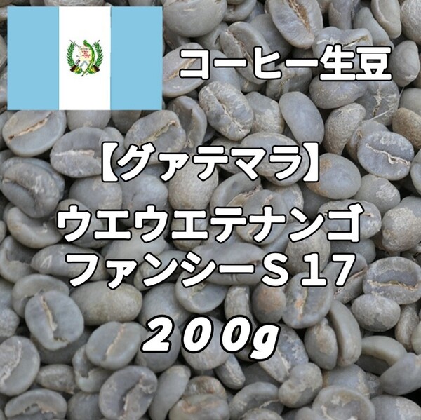 【グァテマラ】ウエウエテナンゴ・ファンシーS17 コーヒー生豆200g(コーヒー生豆 自家焙煎 コーヒー豆 コーヒー 珈琲)