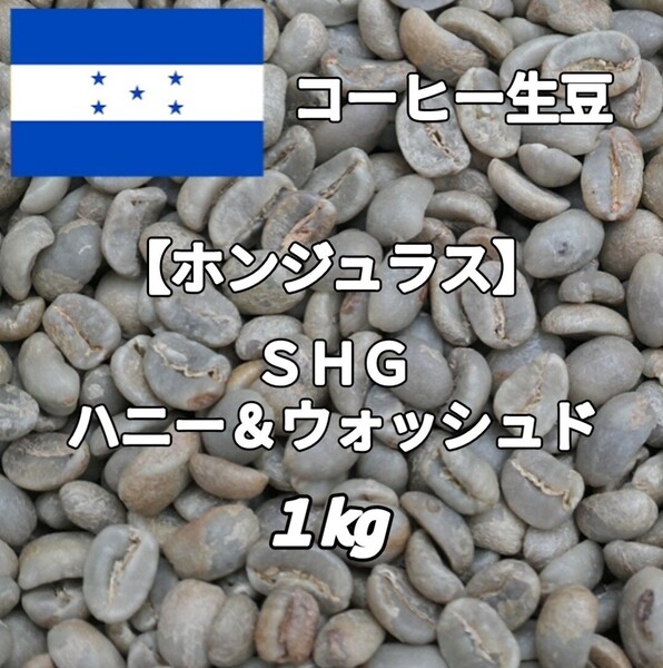 【ホンジュラス】ハニー&ウォッシュド コーヒー生豆 1kg(コーヒー生豆 自家焙煎 コーヒー豆 コーヒー 珈琲)