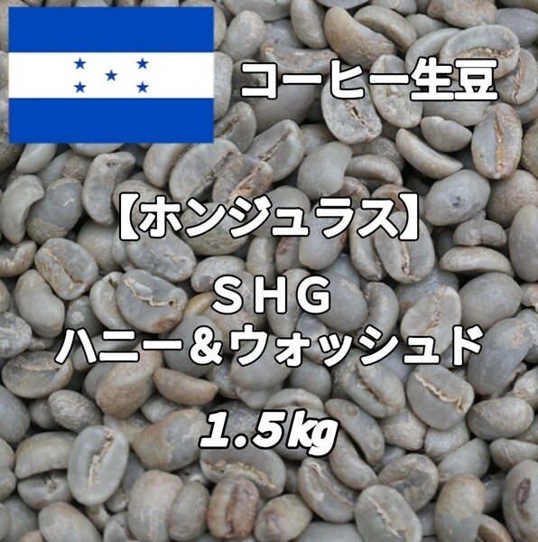 【ホンジュラス】ハニー&ウォッシュド コーヒー生豆 1.5kg(コーヒー生豆 自家焙煎 コーヒー豆 コーヒー 珈琲)