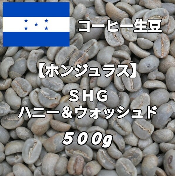 【ホンジュラス】ハニー&ウォッシュド コーヒー生豆 500g(コーヒー生豆 自家焙煎 コーヒー豆 コーヒー 珈琲)