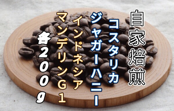 【コスタリカ】ジャガーハニー【インドネシア】マンデリンG1 自家焙煎豆 各200g (自家焙煎 コーヒー豆 コーヒー )
