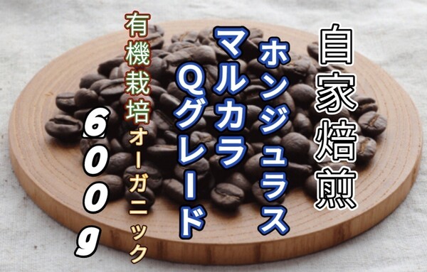 【ホンジュラス】SHGマルカラ Qグレード 自家焙煎コーヒー豆 600g(自家焙煎 コーヒー豆 珈琲)