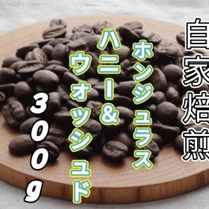 【ホンジュラス】ハニー&ウォッシュド 自家焙煎コーヒー豆 300g(自家焙煎 コーヒー豆 コーヒー )