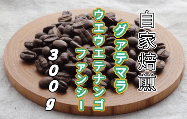 【グァテマラ】ウエウエテナンゴ・ファンシーS17 自家焙煎コーヒー豆 300g(自家焙煎 コーヒー豆 コーヒー )