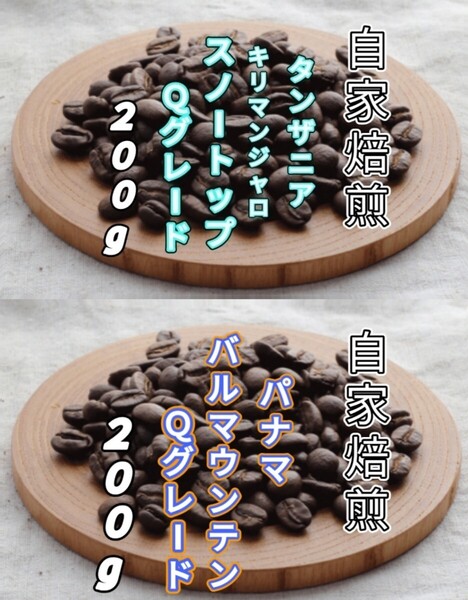 【タンザニア】AAスノートップ【パナマ】バルマウンテン 自家焙煎コーヒー豆 各200g(自家焙煎 コーヒー豆 コーヒー)