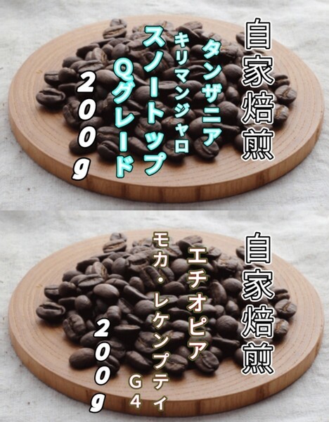 【タンザニア】AAスノートップ【エチオピア】モカ・レケンプティG4 自家焙煎コーヒー豆各200g(自家焙煎 コーヒー豆 コーヒー)
