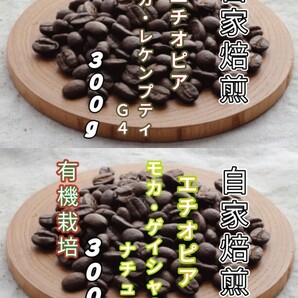 【エチオピア】モカ・レケンプティ【エチオピア】モカ・ゲイシャG3 自家焙煎豆 各300g (自家焙煎 コーヒー豆 コーヒー)