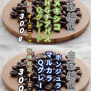 【メキシコ】SHGチアパス【ホンジュラス】SHGマルカラ 自家焙煎豆 各300g(自家焙煎 コーヒー豆 コーヒー )