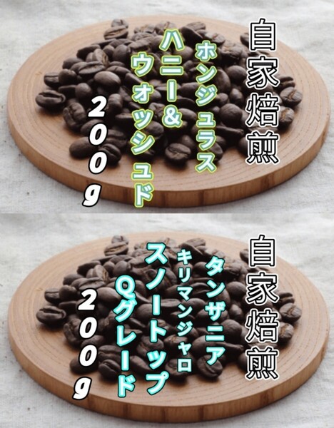 【ホンジュラス】ハニー&ウォッシュド【タンザニア】AAスノートップ 各200g(自家焙煎 コーヒー豆 珈琲 コーヒー)