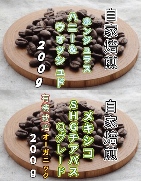 【ホンジュラス】ハニー&ウォッシュド【メキシコ】SHGチアパス 各200g(自家焙煎 コーヒー豆 珈琲 コーヒー)
