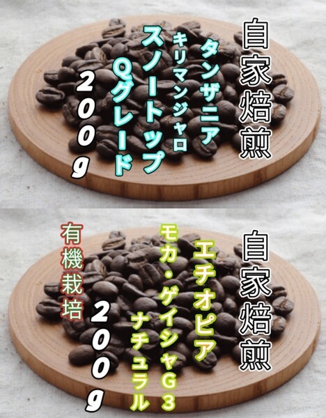 【タンザニア】AAスノートップ【エチオピア】モカ・ゲイシャG3 自家焙煎コーヒー豆 各200g(自家焙煎 コーヒー豆 コーヒー)