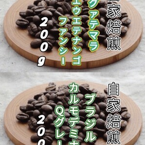 【グァテマラ】ウエウエテナンゴ【ブラジル】カルモデミナス 各200g(自家焙煎 コーヒー豆 珈琲 コーヒー)