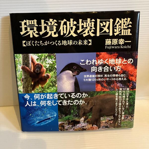 【送料込】環境破壊図鑑 藤原幸一 ポプラ社 古本