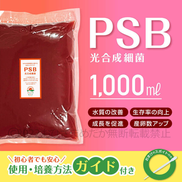 特濃縮★PSB 光合成細菌 1000ml ★ メダカ めだか クロレラ 金魚 熱帯魚 ミジンコ ゾウリムシ ミドリムシ スポイト付き