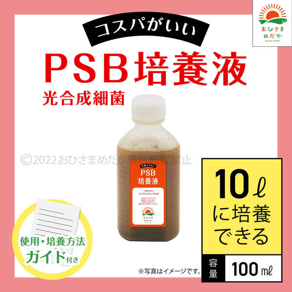高コスパ【PSB培養液 100ml 10L培養分 送料無料】光合成細菌 メダカ めだか 金魚 ミジンコ ゾウリムシ クロレラ ミジンコ 培養に