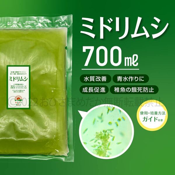 【ミドリムシ 種水 増量 700ml】めだか メダカ 針子 エサ 稚魚 psb 金魚 ミジンコ クロレラ ゾウリムシ 培養におすすめ