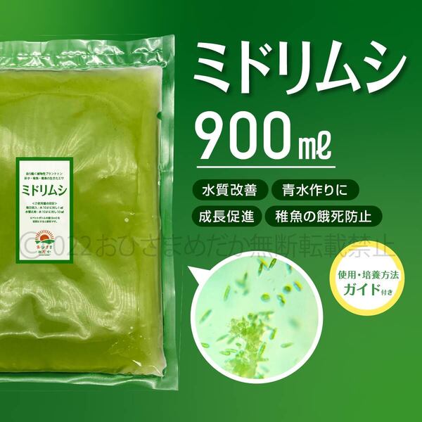 【ミドリムシ 種水 増量 900ml】めだか メダカ 針子 エサ 稚魚 psb 金魚 ミジンコ クロレラ ゾウリムシ 培養におすすめ