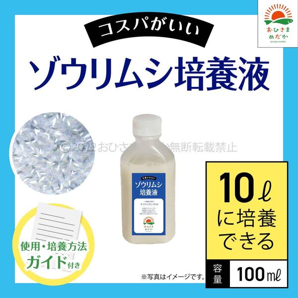 高コスパ【ゾウリムシ培養液 100ml 10L培養分 送料無料】メダカ めだか 金魚 ミジンコ ミドリムシ クロレラ 針子 PSB 培養に