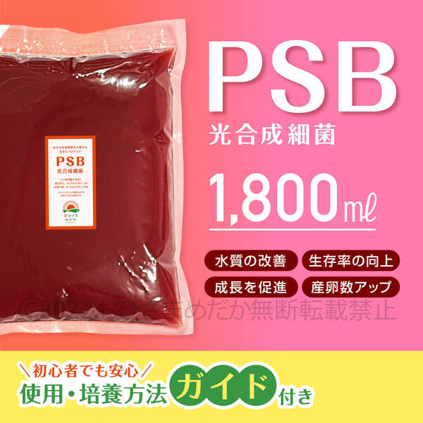 ★PSB 光合成細菌 1800ml 送料無料★ メダカ めだか クロレラ 金魚 熱帯魚 ミジンコ ゾウリムシ ミドリムシ 培養ガイドあり