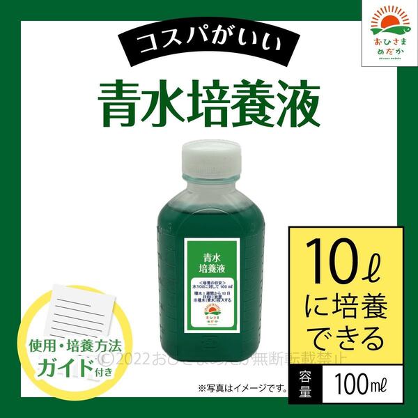 かんたん【青水グリーンウォーター培養液(100ml)10L培養分】メダカめだか金魚錦鯉らんちゅうミジンコゾウリムシクロレラPSBなど利用