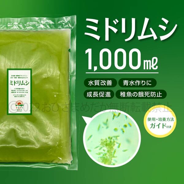 【ミドリムシ 種水 増量 1000ml】めだか メダカ 針子 エサ 稚魚 psb 金魚 ミジンコ クロレラ ゾウリムシ 培養におすすめ