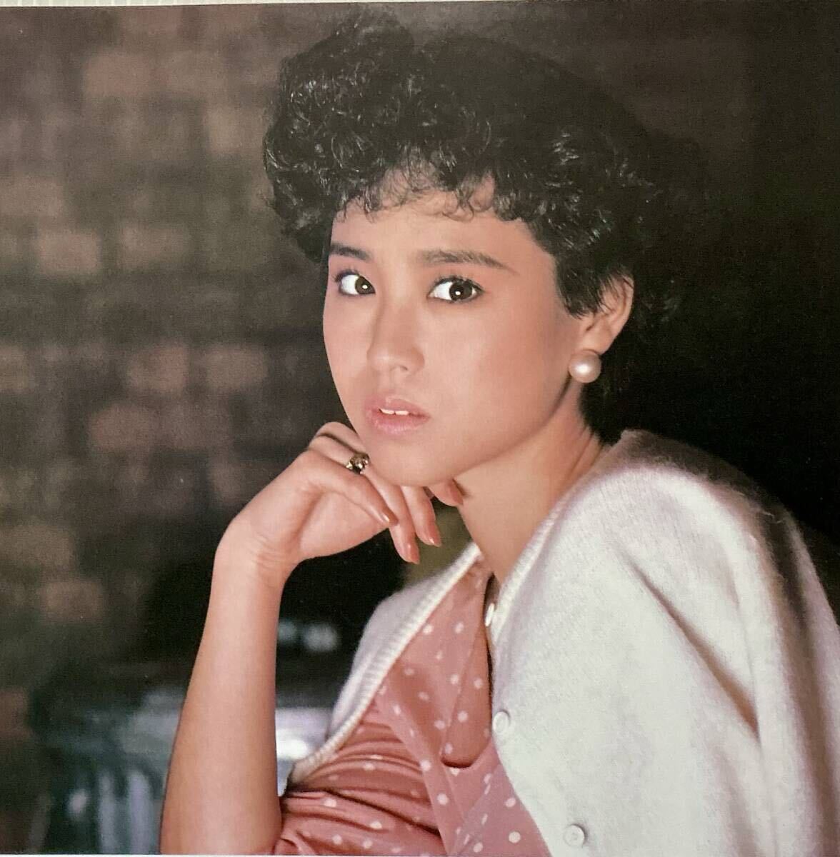 2025年最新】Yahoo!オークション -松田聖子 パンフの中古品