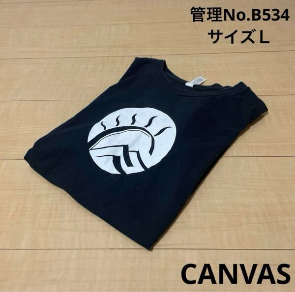 ★送料無料★ 即決 メンズ USA古着 片面プリント 太陽と山のデザイン Lサイズ CANVAS