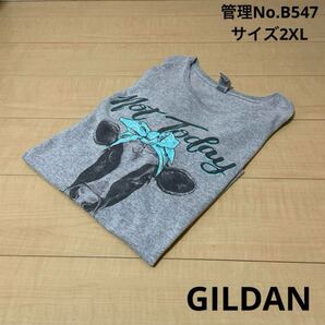 ★送料無料★ 即決 メンズ USA古着 片面プリントグレー Tシャツ GILDAN サイズ2XL