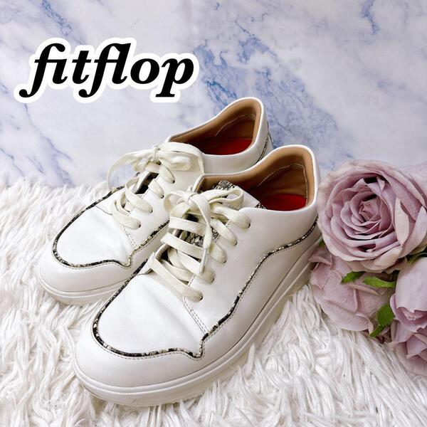 fitflop フィットフロップ 蛇柄 パイソン ライン レザー スニーカー ホワイト 白 レディース US6 23.5cm