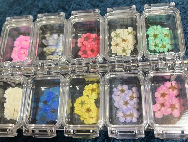 押し花 コデマリ小手鞠、かすみ草 100枚以上 送料無料 小花