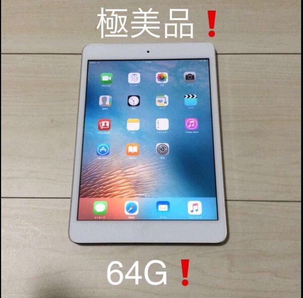 【極美品】本体のみ Apple iPad mini 64G Wi-Fi