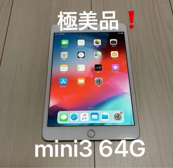 【極美品】本体のみ Apple iPad mini3 64G Wi-Fi