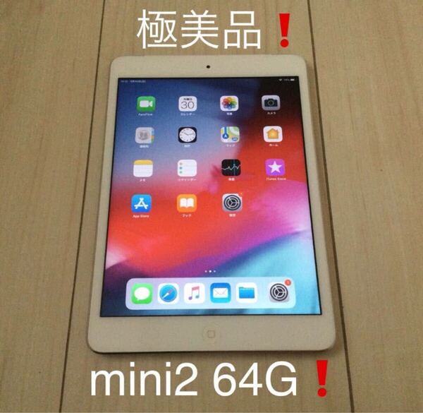 【極美品】本体のみ Apple iPad mini2 64G Wi-Fi