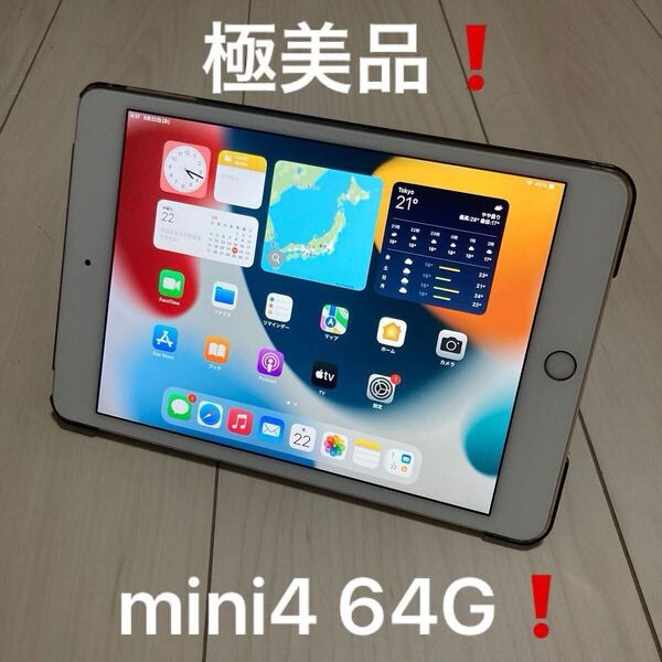 【極美品】ケース付き Apple iPad mini4 64G