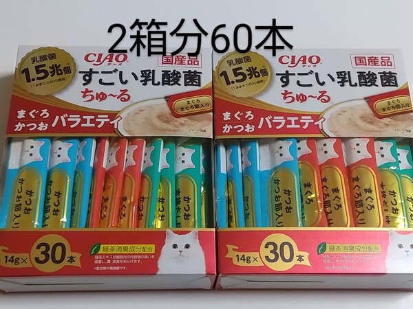 いなば CIAO すごい乳酸菌ちゅ~る まぐろかつおバラエティ 2箱分60本 チャオ すごい乳酸菌ちゅーる 猫