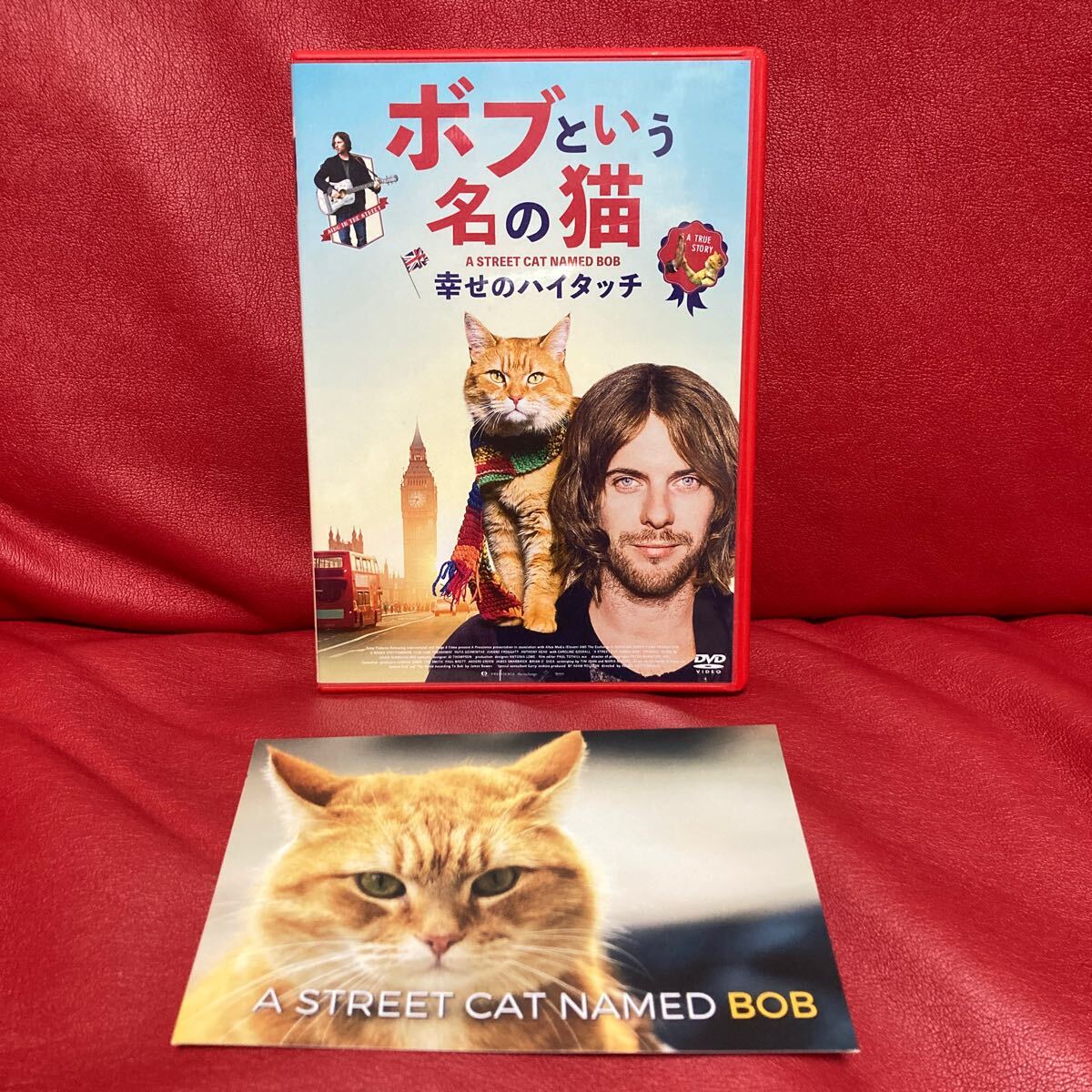 (未使用･未開封品)ボブという名の猫 幸せのハイタッチ DVD ヨドバシ.com - ボブという名の猫 幸せのハイタッチ [Blu-ray