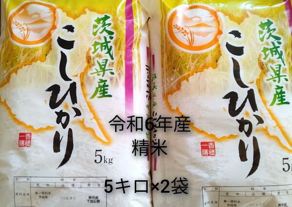 茨城県産コシヒカリ白米10キロ(5キロ×2袋)