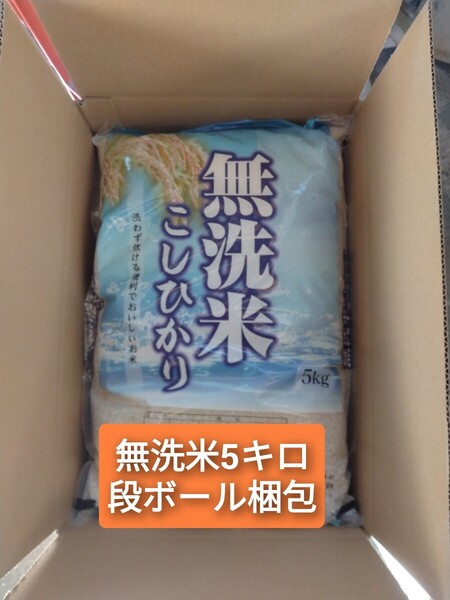 茨城県産コシヒカリ無洗米5キロ(箱発送)