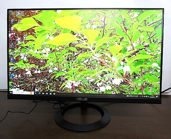 2023年製 動作品◇ASUS【VZ249HR】23.8型ワイド 液晶ディスプレイ PCモニター フルHD ブルーライト軽減 IPSフレームレス